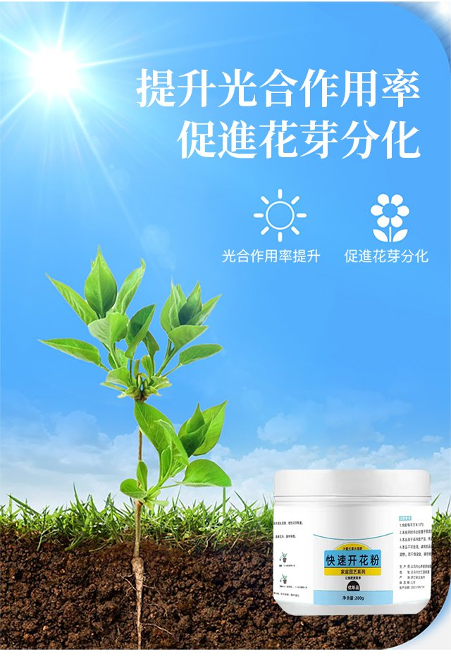 a6b65f9ccd83013279a0e2dbd11ae95.png